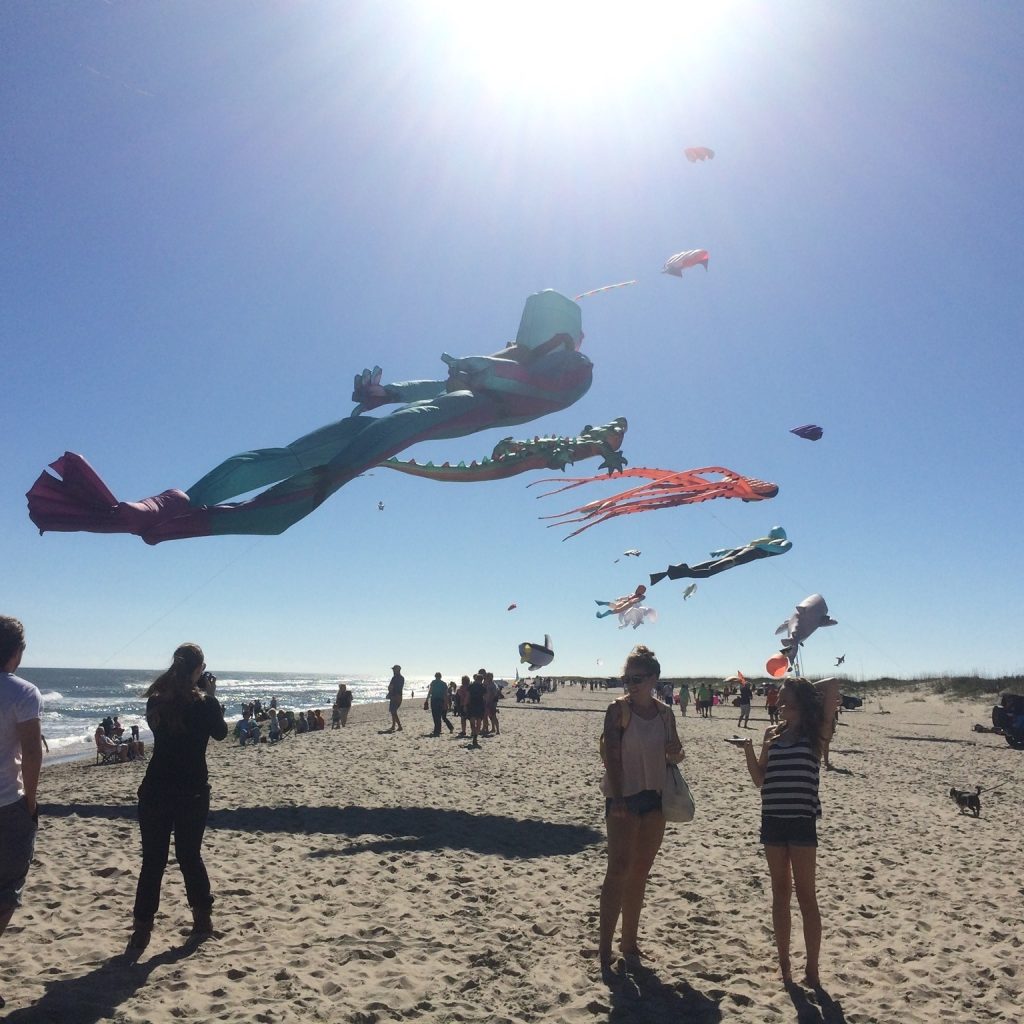 kites flying at the cape fear kite festival