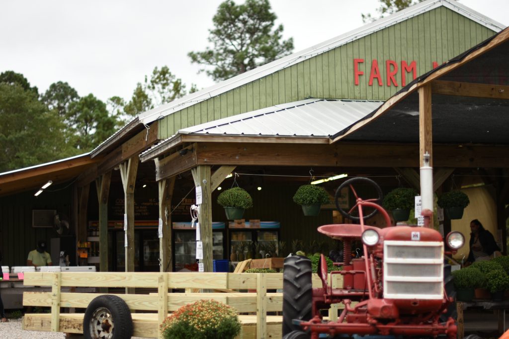 Port City Produce Wilmington, NC